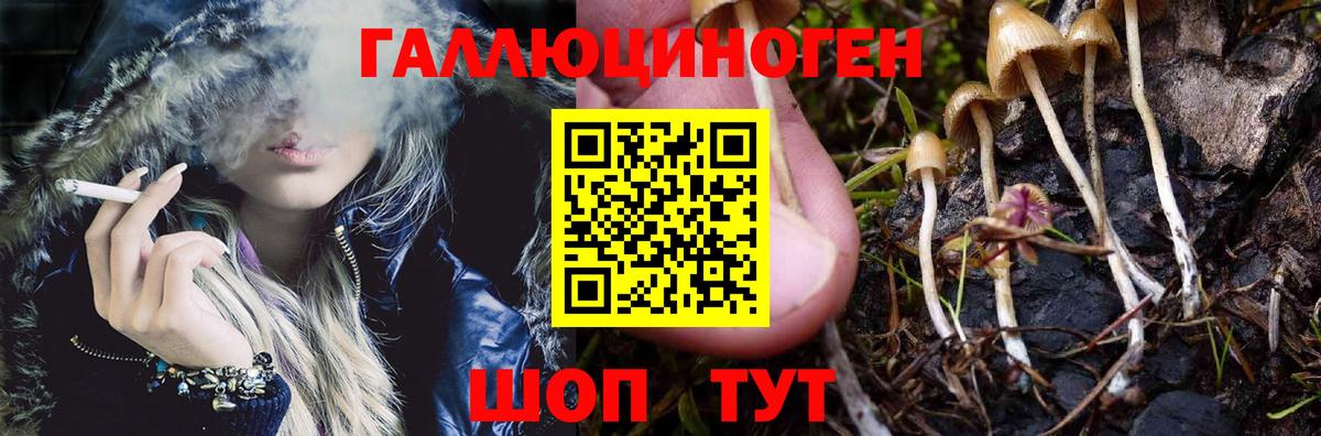 Псилоцибиновые грибы Psilocybine cubensis  Псилоцибиновые грибы Psilocybine cubensis  Вход с VPN  Глазов 